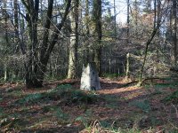 Wentwood
