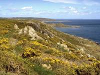 Coverack Bay