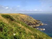 Cadgwith Bay