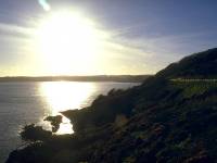 Falmouth South Bay